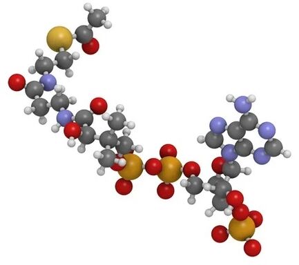 Simpla 360 conține coenzyme Q10